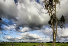 天涯社区地址一二一的秘密探寻