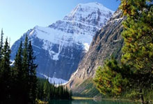 天涯社区地址一二一的秘密探寻