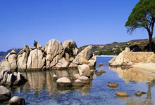 天涯社区地址大揭秘